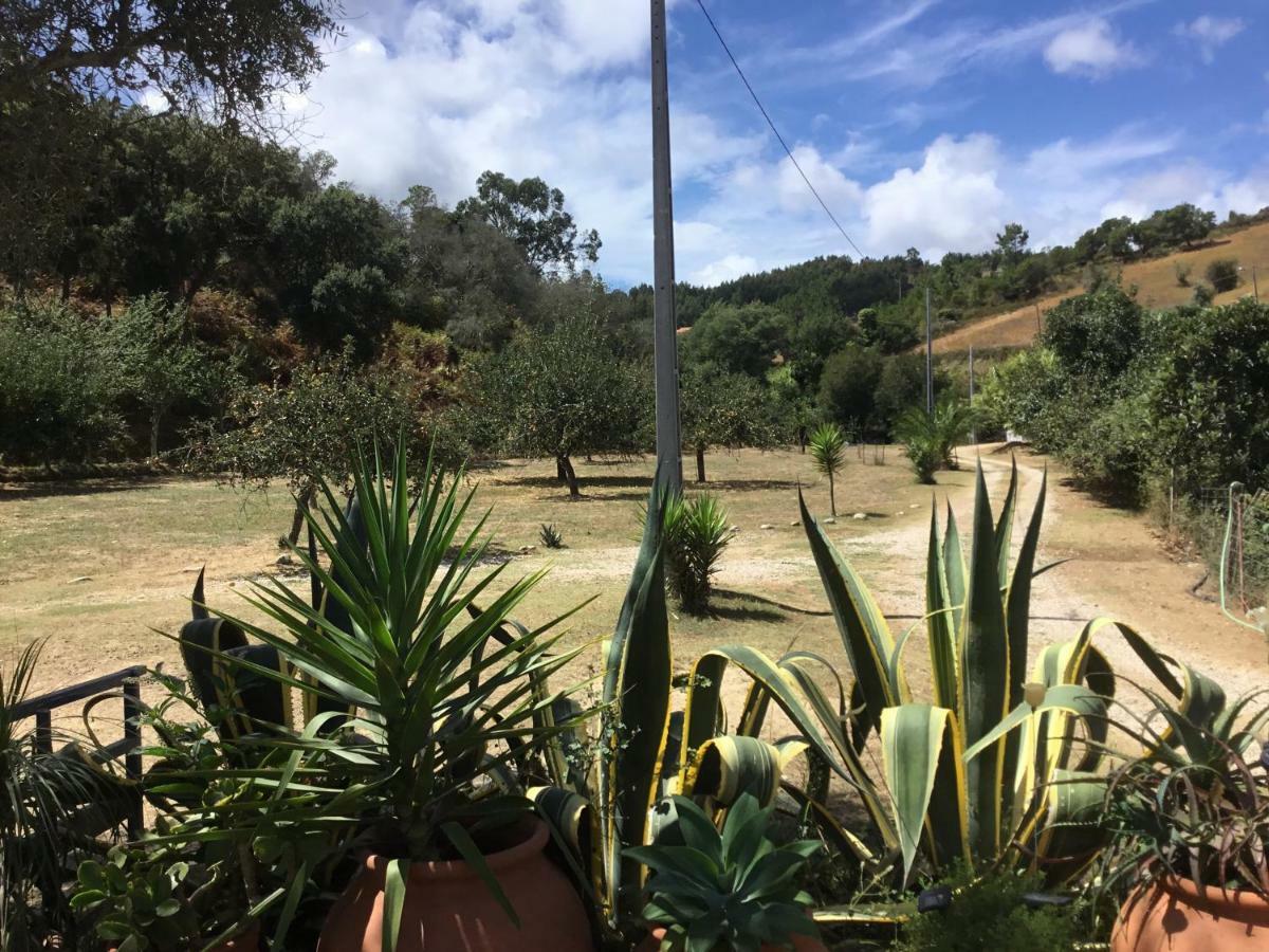Quinta Boavista Villa Cercal do Alentejo Eksteriør bilde