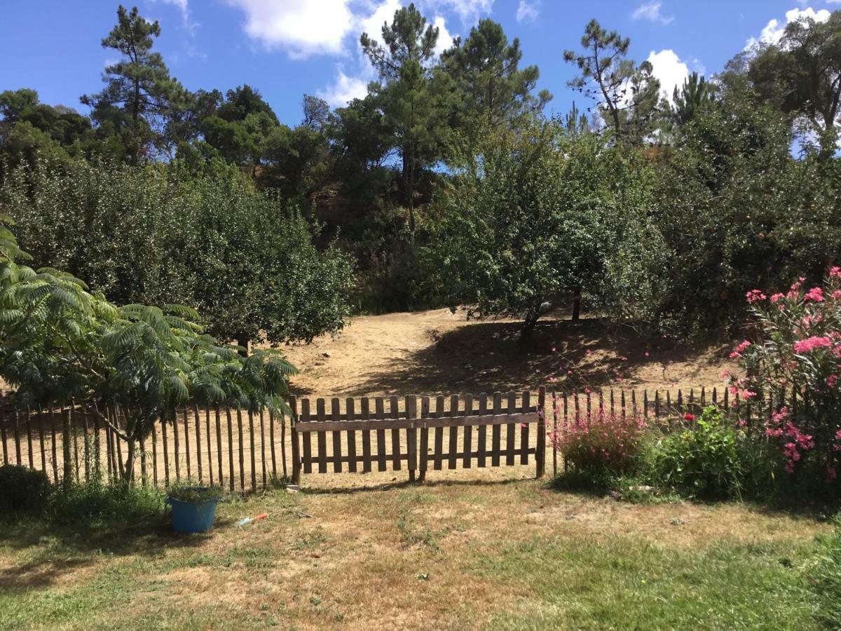 Quinta Boavista Villa Cercal do Alentejo Eksteriør bilde