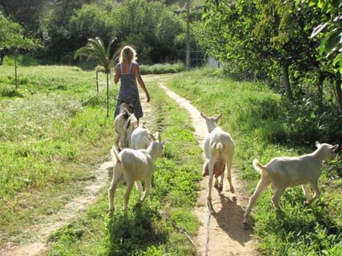 Quinta Boavista Villa Cercal do Alentejo Eksteriør bilde